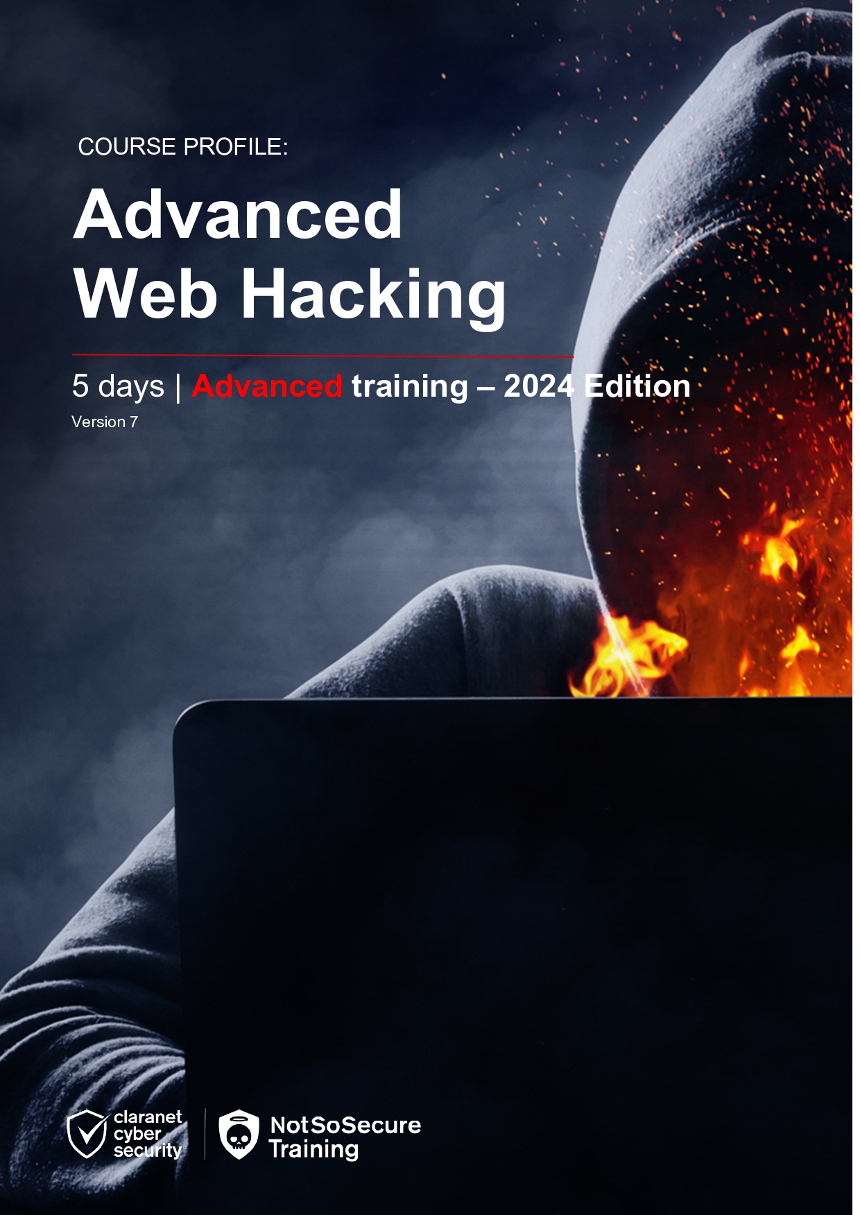 Advanced Web Hacking