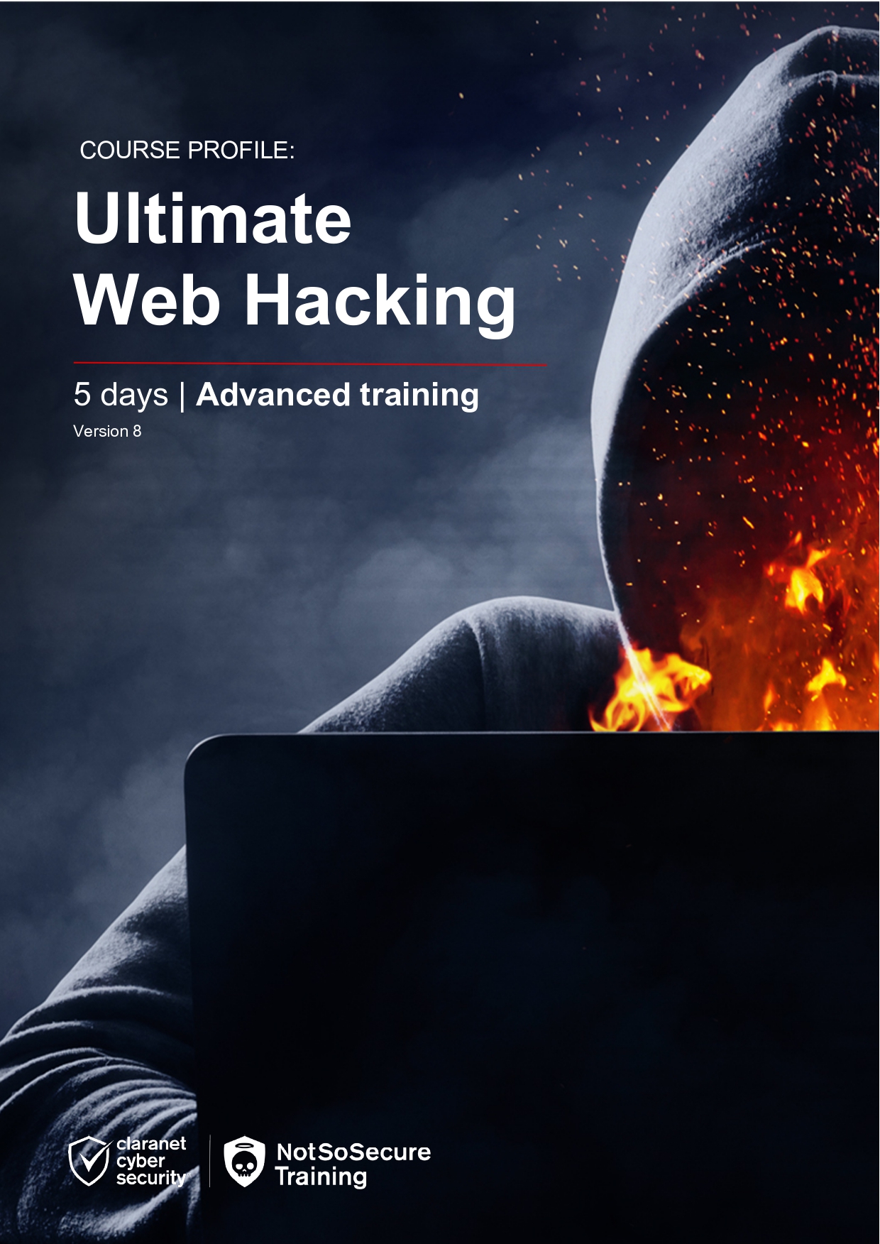 Ultimate Web Hacking
